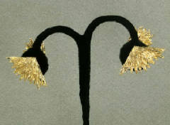 Jewel310ear.jpg